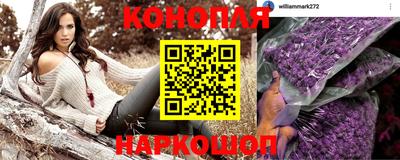 spice Партизанск