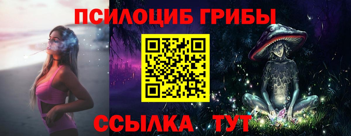 где можно купить наркотик  Вход с VPN  Серов  Галлюциногенные грибы Cubensis 